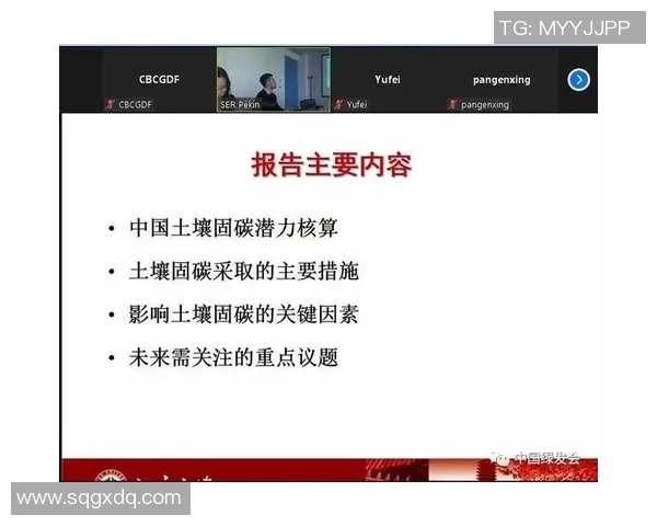 羽毛球赛事裁判判罚标准与公平性探讨及其对比赛公正性的影响分析