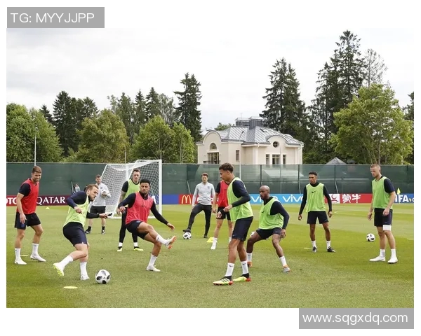 足球世界杯球队体能分布特点与恢复策略探讨分析